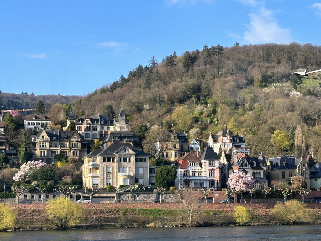 Rhine River Castles